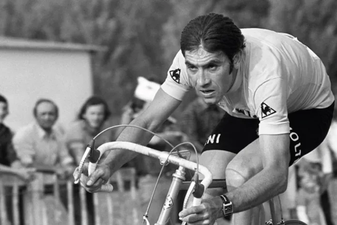 eddy merckx