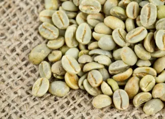 De reis van koffieboon naar zak groene koffiebonen na koffieoogst