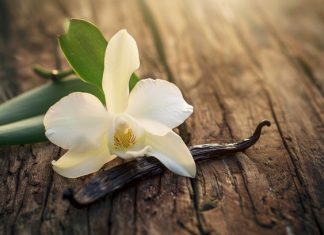 Edmond Albius: De briljante uitvinder die de vanille-industrie revolutioneerde