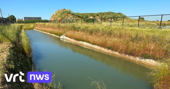 Aanhoudende droogte leidt landbouwers naar gratis wateropvangbekken in Tongeren-Borgloon: