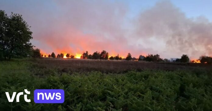 Heidebrand in Nationaal Park Hoge Kempen werd aangestoken: Vlaanderen stelt zich burgerlijke partij