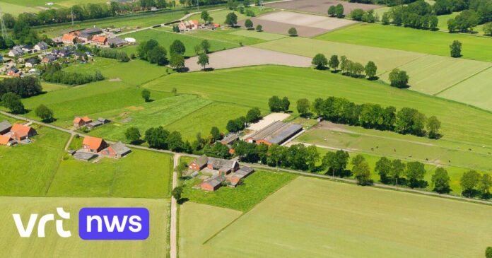 Malle deelt heggen, bomen en houtkanten uit aan landbouwers: