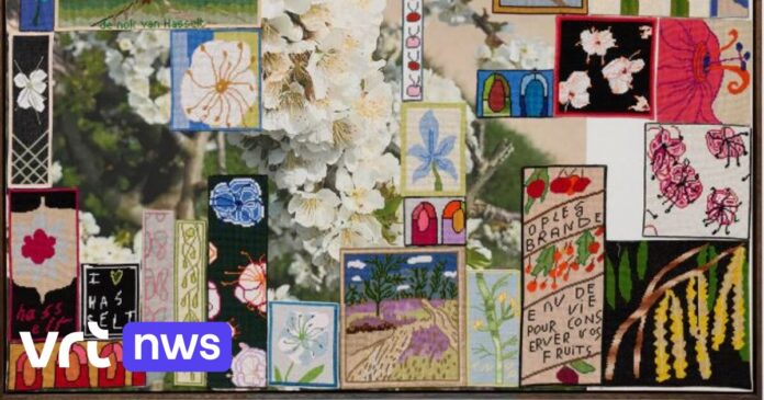 57 Hasseltse vrijwilligers werken maandenlang aan groot borduurkunstwerk voor Hasselts museum Z33