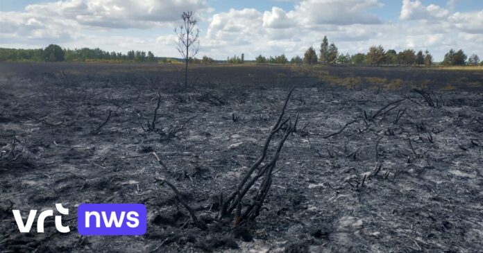 Minister Brouns pleit voor slimme camera's in natuurgebieden om toekomstige natuurbranden te voorkomen