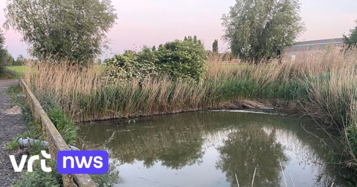 Langemark-Poelkapelle trekt oppompverbod bufferbekken in na vissterfte:
