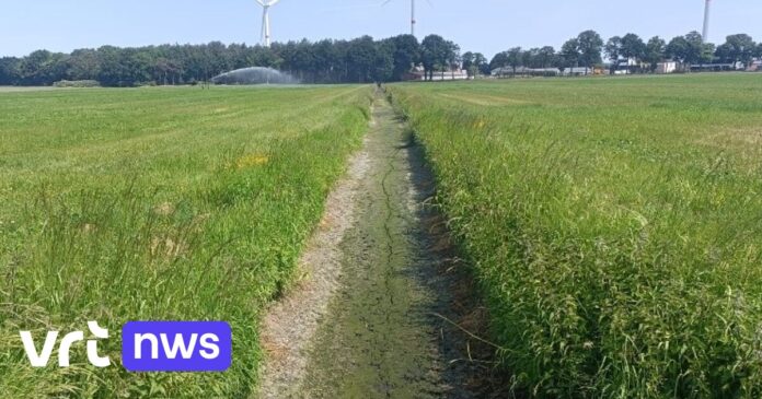 Provincie Antwerpen neemt extra maatregelen door aanhoudende droogte: verbod om water op te pompen breidt uit