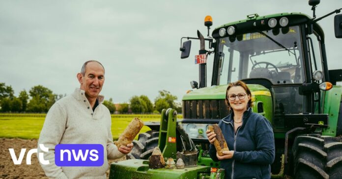 West-Vlaamse boeren vinden nog altijd munitie uit Eerste Wereldoorlog op het veld: