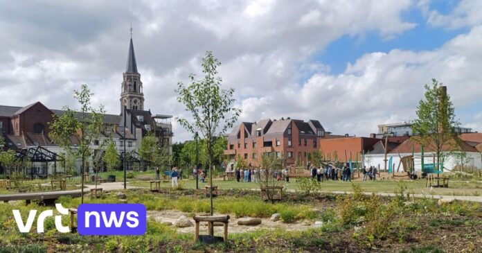 Ook alcoholverbod in en rond het nieuwe Moermanpark in Roeselare: