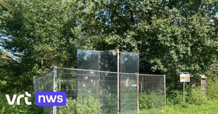 Gevandaliseerd kunstwerk 'Sjel' krijgt nieuwe plek in Hasselt: