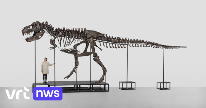 T. rex Trinity tijdelijk naar Deens museum: