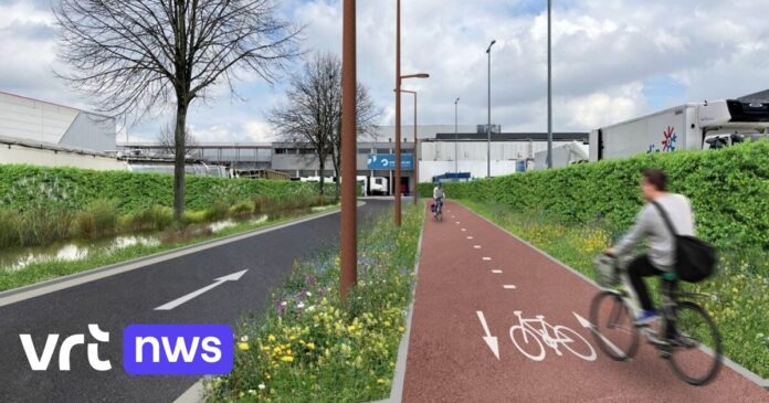 Bedrijvenpark Londerzeel Noord krijgt grondige make-over: