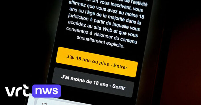 Geen PornHub, YouPorn en RedTube meer in Frankrijk: pornowebsites gaan offline uit protest tegen verplichte leeftijdsverificatie