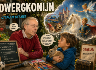 Dwergkonijn