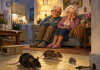 Muizen in huis