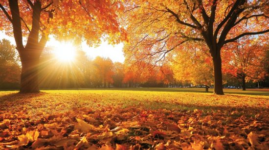 herfst